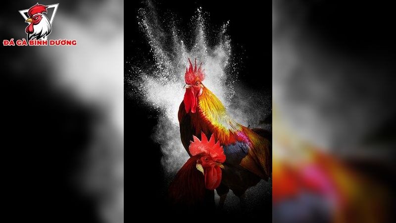 Chiến lược nuôi dưỡng và huấn luyện